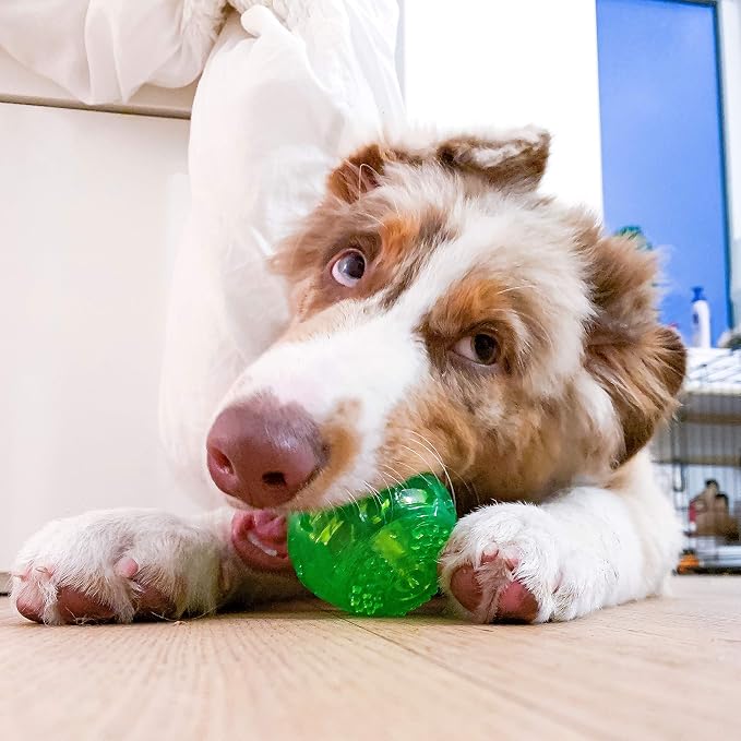 Hyper Pet DuraSqueak Dog Ball Toy, Interactive Dog Toys that Float and Squeaks for Playing, Fetching and Retrieving-Great Alternative to Traditional Tennis Balls Green 2.5 Inch | Bold sound effects reward play, a fresh alternative to traditional tennis...