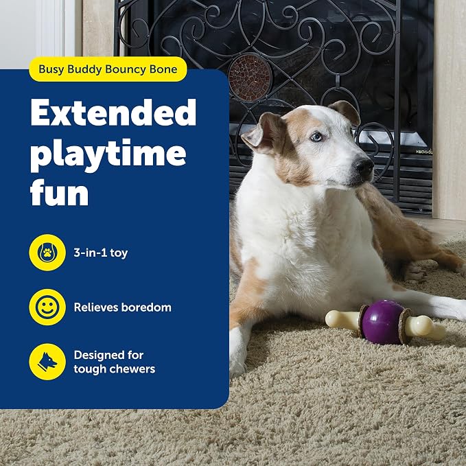 PetSafe Busy Buddy Bouncy Bone Treat Holding Dog Chew Toy, Small | Relieves Boredom and Anxiety, 6 Rawhide Treat Rings Included, Top-Rack Dishwasher Safe, Best for Dogs up to 10 Lb