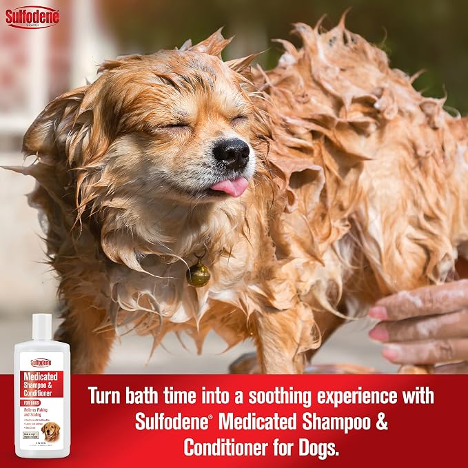 Sulfodene Medicated Shampoo & Conditioner for Dogs 12oz | Vet Recommended dog medicated shampoo to relieves flaking & scaling, made with aloe vera, cleans and conditions skin and coat