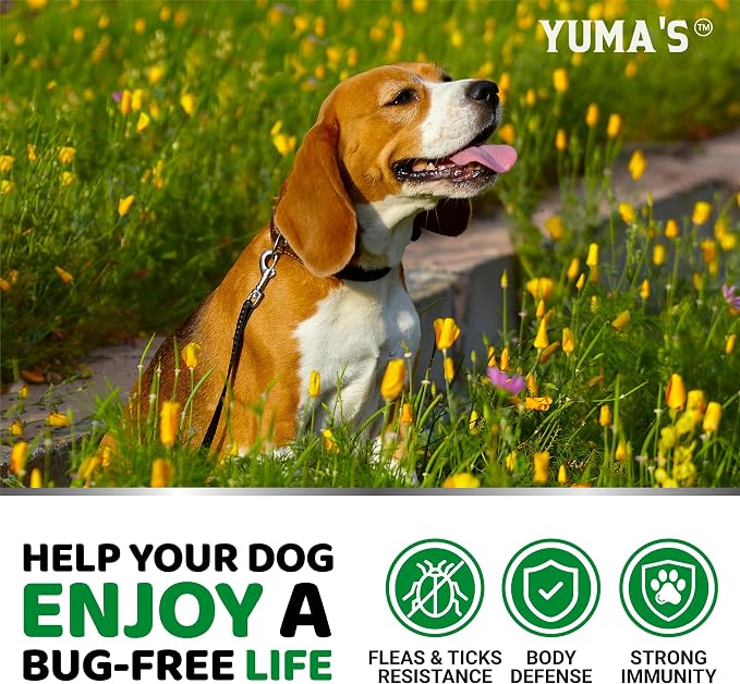 Flea and Tick Prevention for Dogs Chewables - 170 Treats - Flea Oral Pills