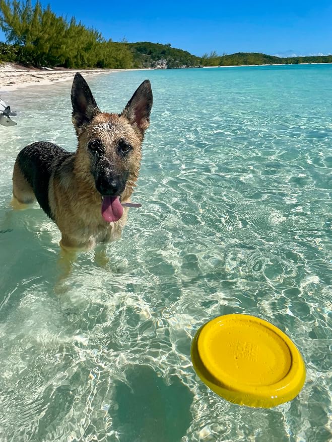 Flying Disc Soft Dog Toy, Floats in Water & Safe on Teeth - for Large Dogs