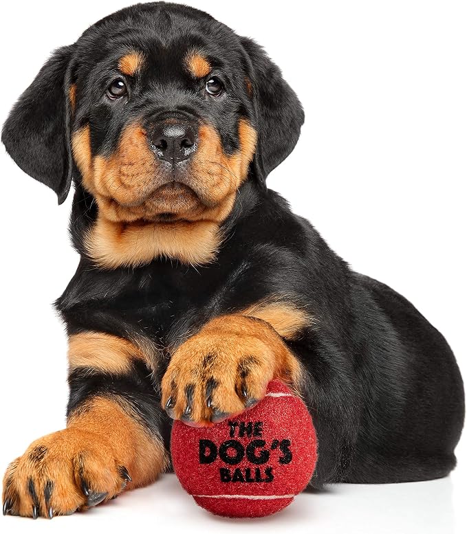 The Little Dog’s Balls Small Dog Tennis Balls 6-Pack Red Floats in Water | Our fetch balls combine non-abrasive felt exterior and a thicker rubber core Durable Dog Toy for Outdoor Play & Training