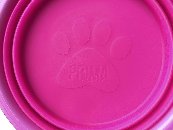 Collapsible Silicone Water Travel Bowl with Clip, Large 5 Cups, Pink, 2 Pack