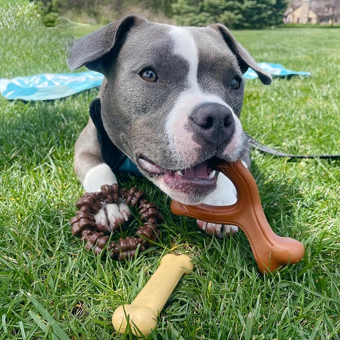 Nylabone Power Chew Customer Favorites Dog Chew Toys, 3 Count, Small | Flavor Medley, peanut butter, and beef flavor, durable dog toys for aggressive chewers, for large breeds up to 25 lbs