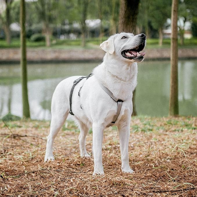 PUPTECK Escape Proof Dog Harness - No Pull Soft Padded Full Body Pet Halter Harness with Lift Handle for Small Medium Large Doggies Walking Hiking Hunting, SnowWhite & Black, L