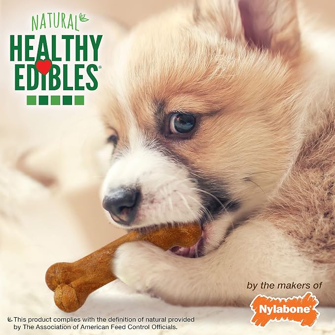 Nylabone Healthy Edibles Natural Puppy Chews Long Lasting Treats for Puppies,Turkey & Sweet Potato Flavor,X-Small/Petite,16 Count (Pack of 2)
