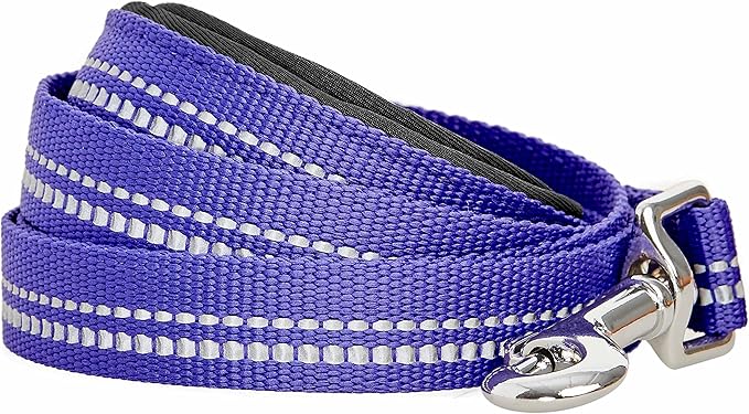 Blueberry Pet 3M Reflective Pastel Color Dog Leash with Soft & Comfortable Handle, 4 ft x 1", Violet, Large, Leashes for Dogs