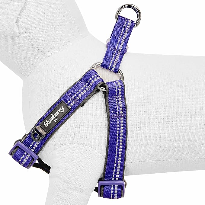 Blueberry Pet Soft & Comfy 3M Reflective Step-in Pastel Color Padded Dog Harness, Chest Girth 20" - 26", Violet, Medium, Adjustable Harnesses for Dogs
