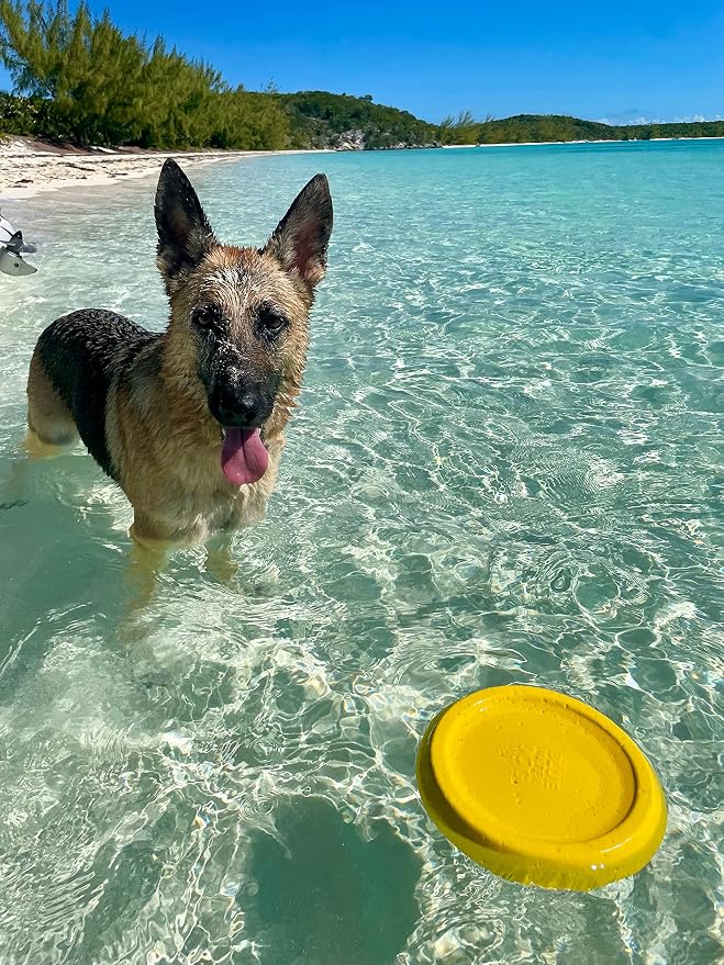 Frisbee, Floating Foam Disc, Medium & Large Dogs, 8.5in, Yellow