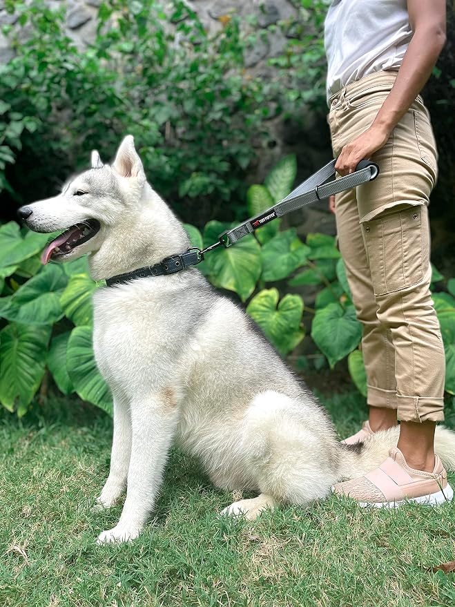 Tuff Pupper Service Dog Leash With Handle for Large Dogs | 12 Inch | Perfect for Service Harness & Training | Traffic Handle With Padding | Short Coupler