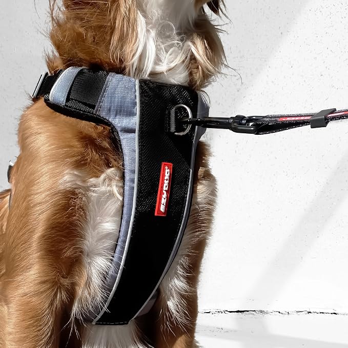 EzyDog X-Link Dog Harness, No Pull Design with Front D-Ring - Small, Blue | Soft Padded Chest Panel, Adjustable, Fits Small or Large Dogs, Accessory Loop, 2 Leash Attachment Points, Reflective Trim,