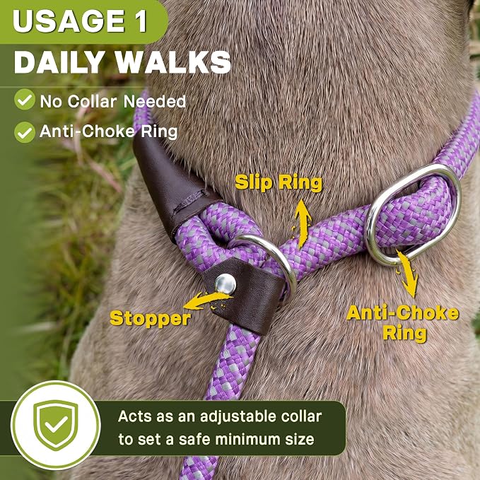 Fida Durable Slip Lead Dog Leash Bulk Pack of 5, Heavy Duty 1/2" x 6 FT Comfortable Strong Rope Slip Lead for Large, Medium Dogs No Pull Pet Training Leash with Highly Reflective, Purple