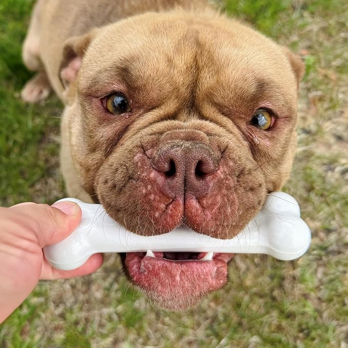 Nylabone Power Chew Original Bone Dog Chew Toy, Chicken Flavor, Small | Durable chew toys, discourages destructive chewing, long lasting, flavor throughout, for dogs up to 25 pounds