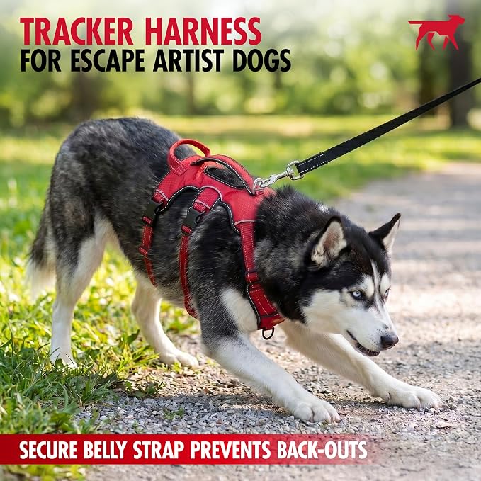 Tuff Pupper Escape Proof No Escape Dog Harness | 5 Point Adjustable Fit Harness for Dogs | Padded Dog Harnesses | Handle Dog Lift Harnesses
