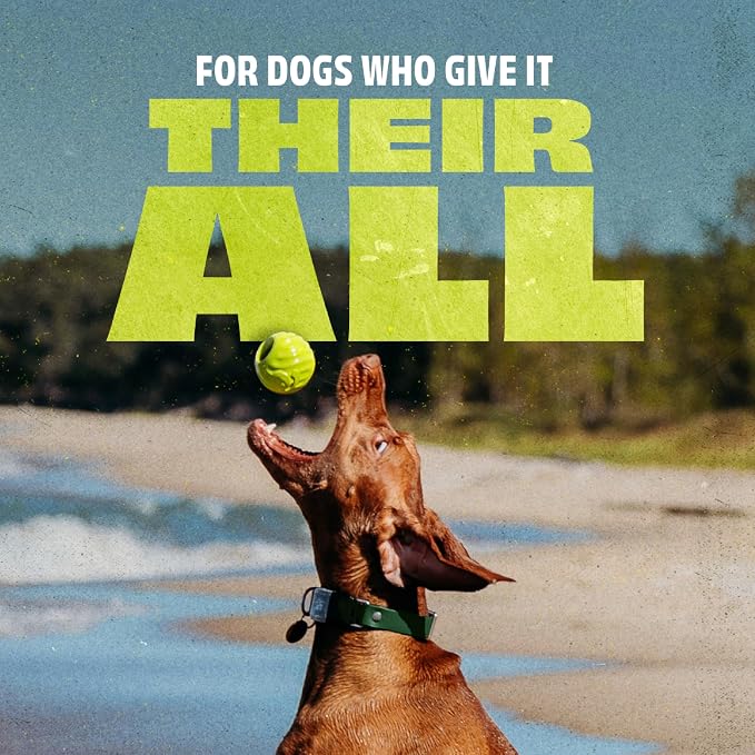 Benebone Natural Rubber Ball, 2-Pack | Natural Rubber, Extra Bouncy, Tooth-Friendly, Great for Fetch, Boredom Buster, Dishwasher Safe, Long-Lasting
