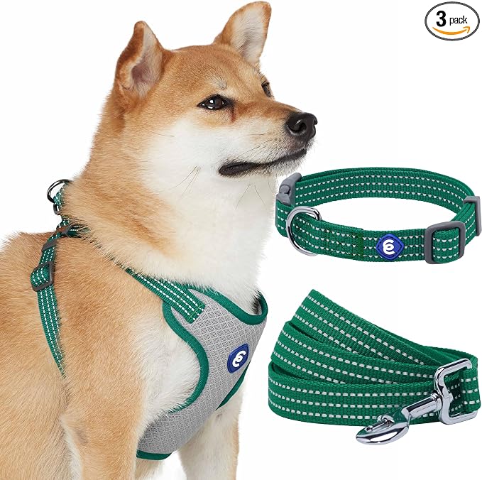 Blueberry Pet Essentials Reflective Better Basics Matching Dog Collar Leash Harness Set in Dark Green, Adjustable Collar with Harness & 5 ft Leash for Medium Dogs