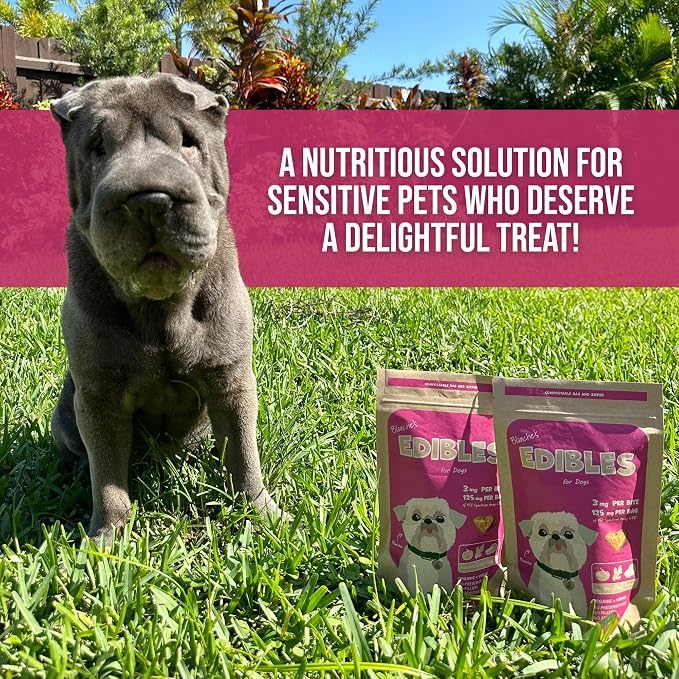 Blanche Calming Treats, 42-Pack, 42 ct
