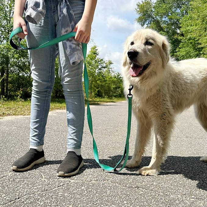 Joytale Dog Leash for Large Dogs that Pull, Double Handle, 4FT, Teal | Traffic Handle for Control, Padded Handle Reduces Hand Strain, Reflective Stitching for Night Safety, Strong Nylon Webbing