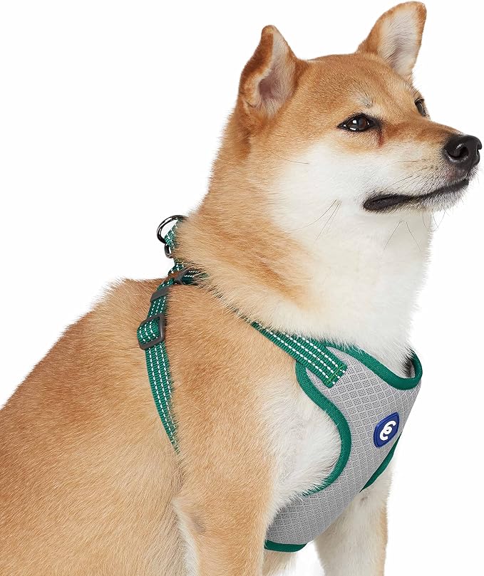 Blueberry Pet Essentials Back to Basics Reflective Dog Harness Vest, Dark Green, Small, Adjustable Harnesses for Dogs
