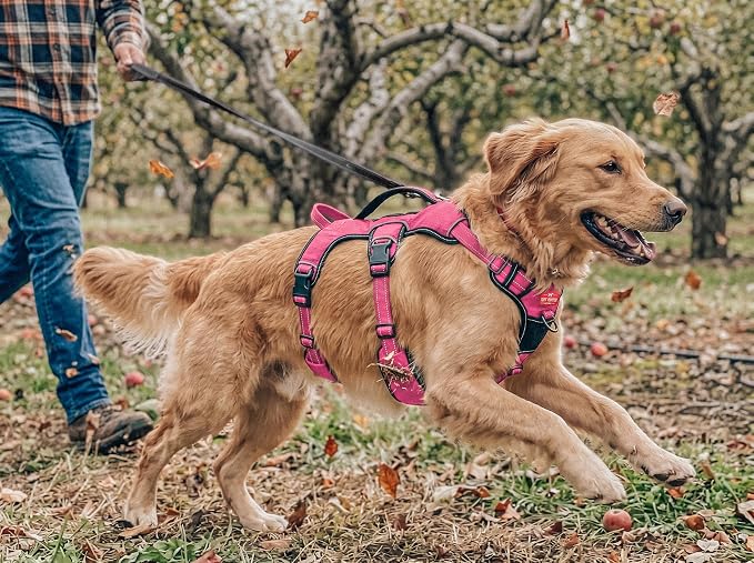 Tuff Pupper Escape Proof No Escape Dog Harness | 5 Point Adjustable Fit Harness for Dogs | Padded Dog Harnesses | Handle Dog Lift Harnesses