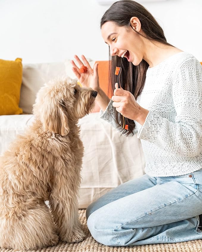 Paw Ready Pet Toothbrushing Assistant for Puppies' Dogs and Cats Allows You to Brush Your pet’s Teeth Without Constantly Worrying About Getting Bitten. (Orange, Medium)