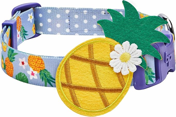 Blueberry Pet Nutritious Pineapple Adjustable Dog Collar with Detachable Accessory, Large, Neck 18"-26"
