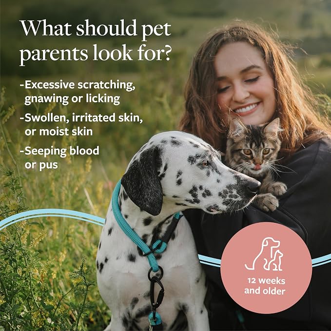 Veterinary Formula Clinical Care Hot Spot & Itch Shampoo, 16 oz, 2-Pack | Medicated shampoo for dogs and cats that helps alleviate sensitive skin, scratching and licking of the coat