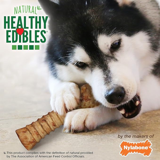 Nylabone Healthy Edibles Natural Dog Chews, Long Lasting Bones for Dogs, Turkey & Apple Dog Treats, X-Large (1 Count)