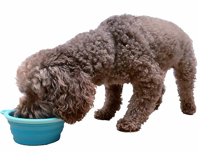Prima Pet Expandable Collapsible Silicone Bowl with Clip, 1.5 Cups, Aqua