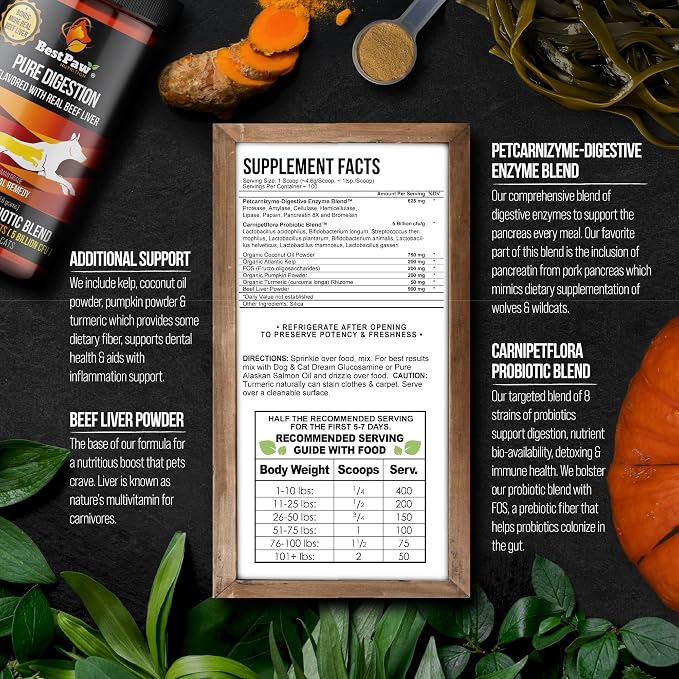 Probiotics for Dogs | Digestive Enzymes and Probiotics Powder | Beef Liver Flavor | Pumpkin, Turmeric and Prebiotic FOS | Gut Health Food Topper for Dogs and Cats | 16oz