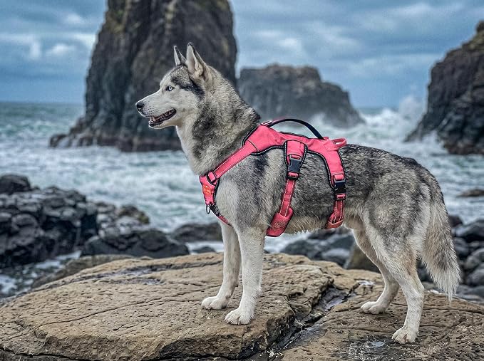 Tuff Pupper Escape Proof No Escape Dog Harness | 5 Point Adjustable Fit Harness for Dogs | Padded Dog Harnesses | Handle Dog Lift Harnesses