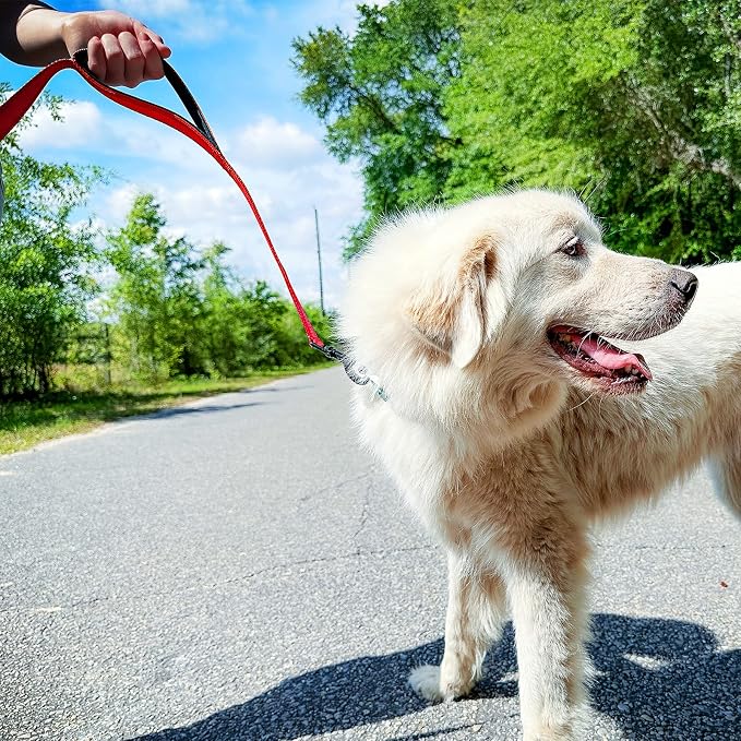 Joytale Dog Leash for Large Dogs that Pull, Double Handle, 4FT, Red | Traffic Handle for Control, Padded Handle Reduces Hand Strain, Reflective Stitching for Night Safety, Strong Nylon Webbing
