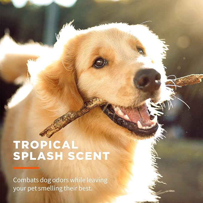 Wet Ones for Pets Antibacterial Grooming Wipes with Aloe Vera, 50 Count (12 Pack)