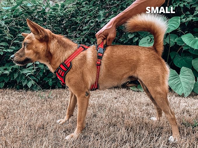Tuff Pupper No Pull Easy Walk Dog Harness | Heavy Duty Pet Vest | Front & Back Leash Clips | Strong Safety Handle | Reflective Anti Pull Vest | Comfortable Padded Escape Proof Harness (Small, Red)