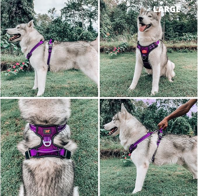 Tuff Pupper No Pull Easy Walk Dog Harness | Heavy Duty Pet Vest | Front & Back Leash Clips | Strong Safety Handle | Reflective Anti Pull Vest | Comfortable Padded Escape Proof Harness (Large, Purple)