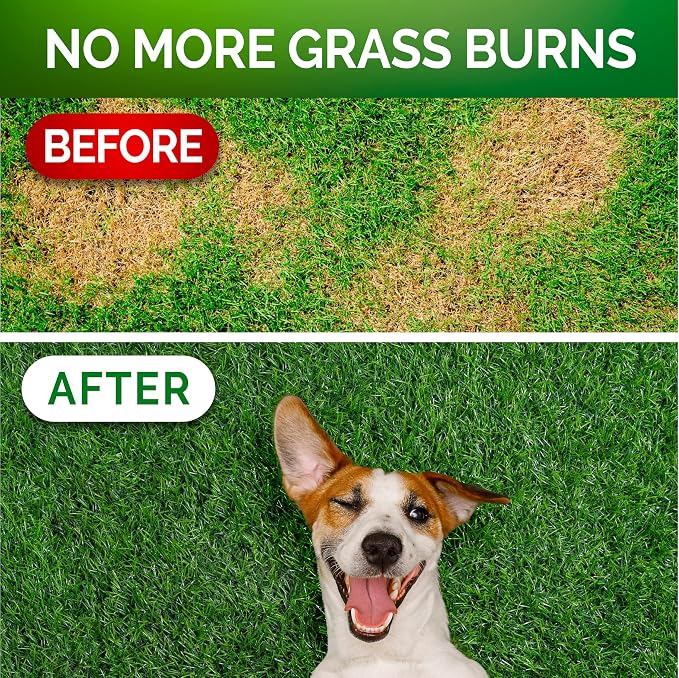 Grass Burn Spot Chews - Dog Urine Neutralizer for Lawn - Grass Green, Rocks