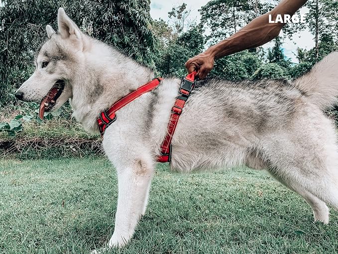 Tuff Pupper No Pull Easy Walk Dog Harness | Heavy Duty Pet Vest | Front & Back Leash Clips | Strong Safety Handle | Reflective Anti Pull Vest | Comfortable Padded Escape Proof Harness (Large, Red)