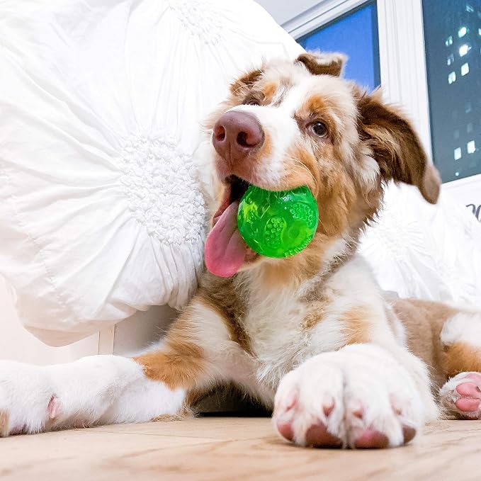 Hyper Pet DuraSqueak Dog Ball Toy, Interactive Dog Toys that Float and Squeaks for Playing, Fetching and Retrieving-Great Alternative to Traditional Tennis Balls Green 2.5 Inch | Bold sound effects reward play, a fresh alternative to traditional tennis...