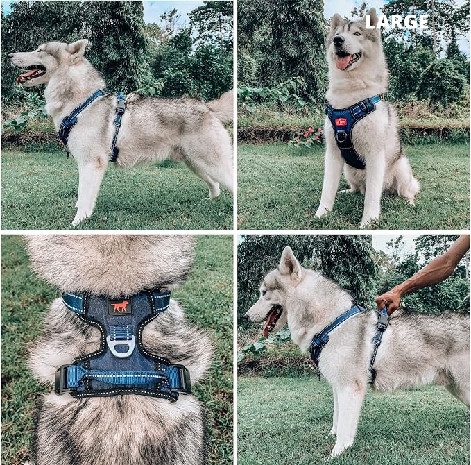 Tuff Pupper No Pull Easy Walk Dog Harness | Heavy Duty Pet Vest | Front & Back Leash Clips | Strong Safety Handle | Reflective Anti Pull Vest | Comfortable Padded Escape Proof Harness (Large, Blue)