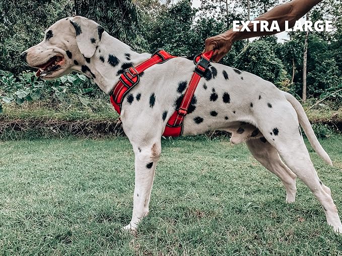Tuff Pupper No Pull Easy Walk Dog Harness | Heavy Duty Pet Vest | Front & Back Leash Clips | Strong Safety Handle | Reflective Anti Pull Vest | Comfortable Padded Escape Proof Harness (X-Large, Red)