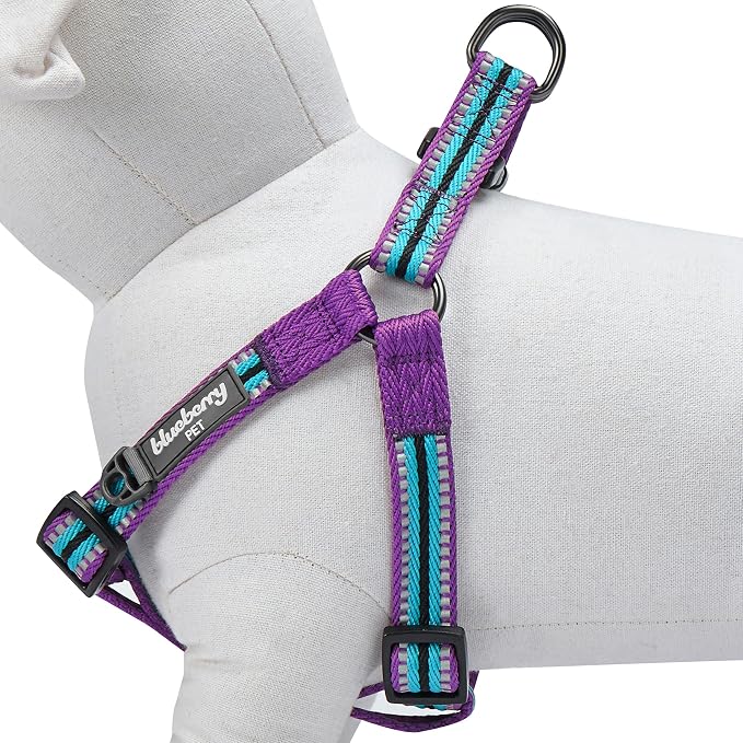 Blueberry Pet 5 Colors Step-in 3M Reflective Multi-Colored Stripe Padded Dog Harness, Chest Girth 26" - 39", Violet & River Blue, Large, Adjustable Harnesses for Dogs