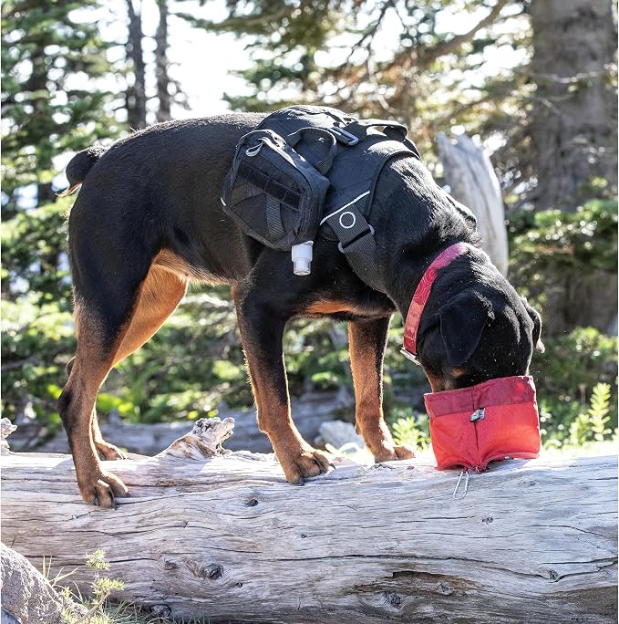 Kurgo Zippy Bowl for Dogs, Collapsible Travel Bowl, 48oz, Barn Red
