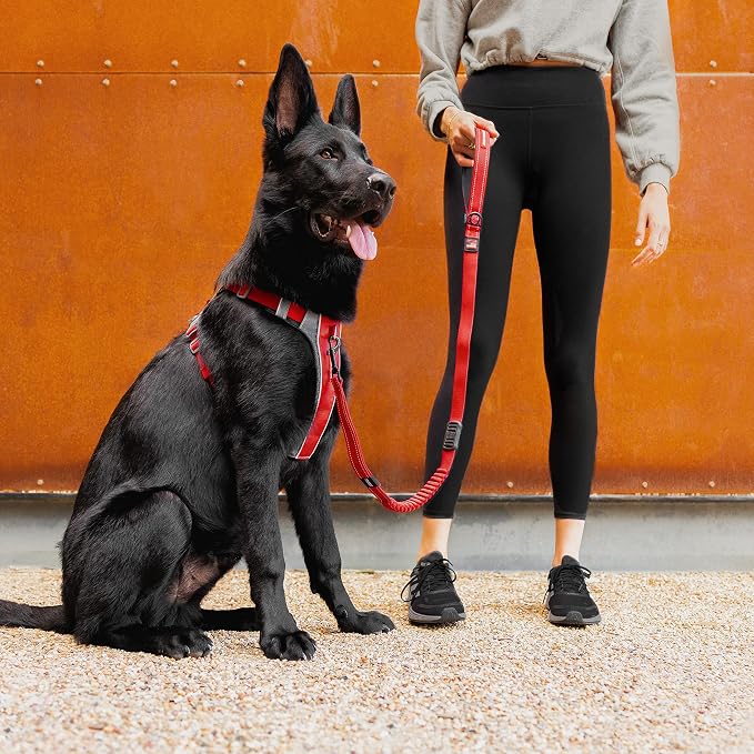EzyDog X-Link Dog Harness, No Pull Design with Front D-Ring - X-Large, Red | Soft Padded Chest Panel, Adjustable, Fits Small or Large Dogs, Accessory Loop, 2 Leash Attachment Points, Reflective Trim,