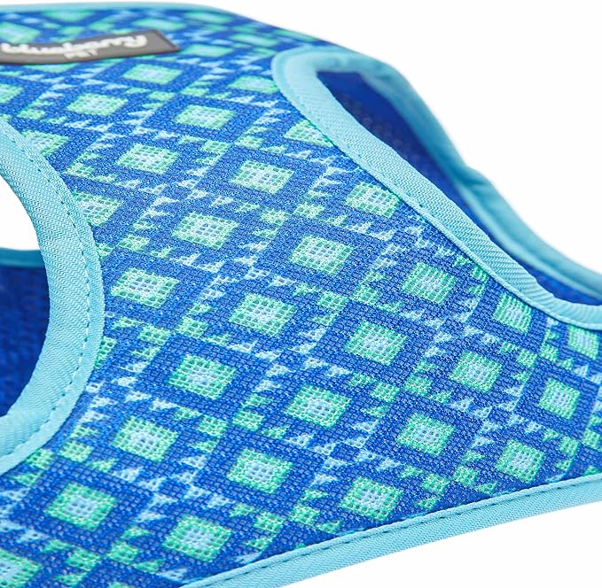 Blueberry Pet Southwestern Tribal Lozenges Stylish Green Dog Harness Vest, XS, Adjustable Harnesses for Puppies Small Dogs