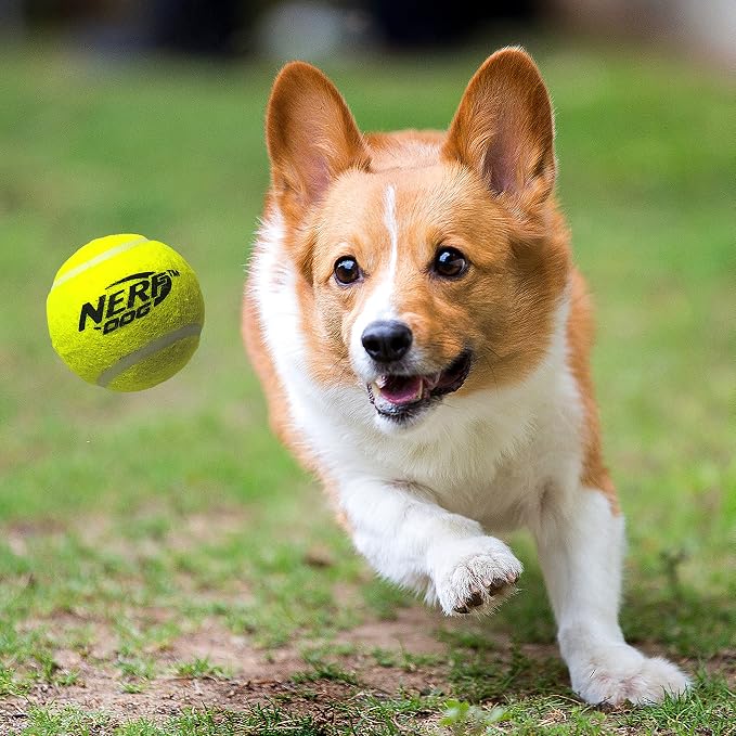 Nerf Dog Large Size Tennis Ball Blaster Dog Toy, Great for Fetch, Hands-Free Reload, Launches up to 50 ft, Single Unit, 20in Blaster with 3 Balls in Mesh Bag, Blue/Orange, Blue, Green and Orange