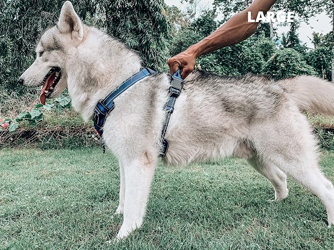 Tuff Pupper No Pull Easy Walk Dog Harness | Heavy Duty Pet Vest | Front & Back Leash Clips | Strong Safety Handle | Reflective Anti Pull Vest | Comfortable Padded Escape Proof Harness (Large, Blue)
