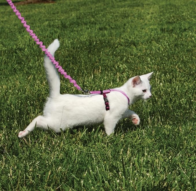 PetSafe Come with Me Kitty Harness and Bungee Leash, Small, Dusty Rose | Adjustable 2-Point Fit Applies Gentle Pressure to Shoulders, Not Neck, for Kittens and Small Cats with 9 in - 11 in Girth