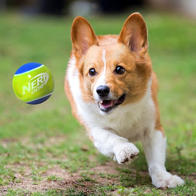 Nerf Dog Rubber Tennis Ball Squeak Toy, Durable, Water-Resistant, 2.5in, 2 Pack
