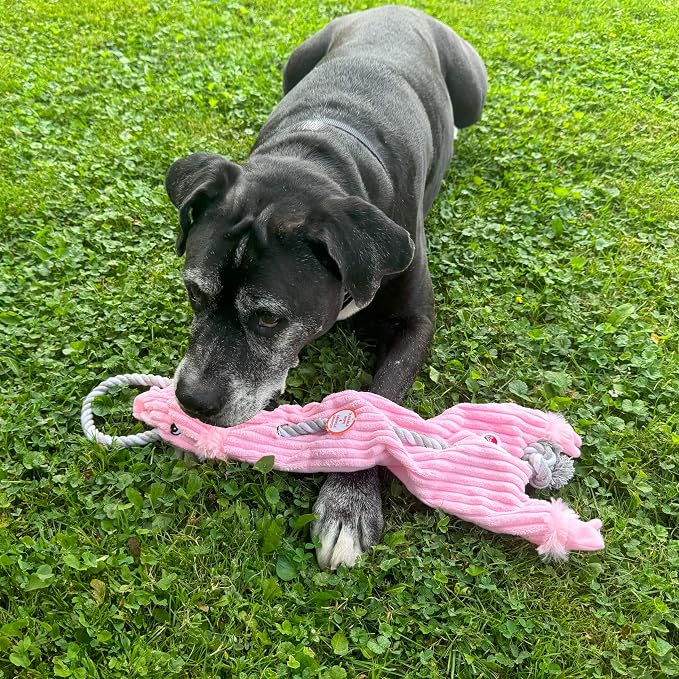 SPOT Skinneeez Barnyard Tug Dog Toy - Rope Design for Strong Chewers, Squeaker & Crinkle, Stuffing-Free, Tug Toy for Medium to Large Dogs & Puppies -23 inch, Style Varies