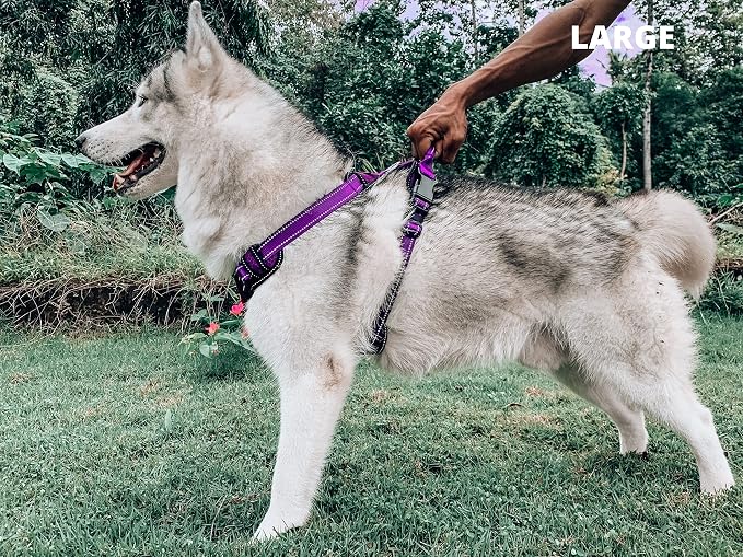 Tuff Pupper No Pull Easy Walk Dog Harness | Heavy Duty Pet Vest | Front & Back Leash Clips | Strong Safety Handle | Reflective Anti Pull Vest | Comfortable Padded Escape Proof Harness (Large, Purple)